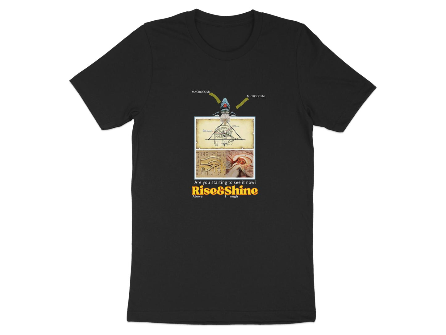 Quality Cotton T-shirt