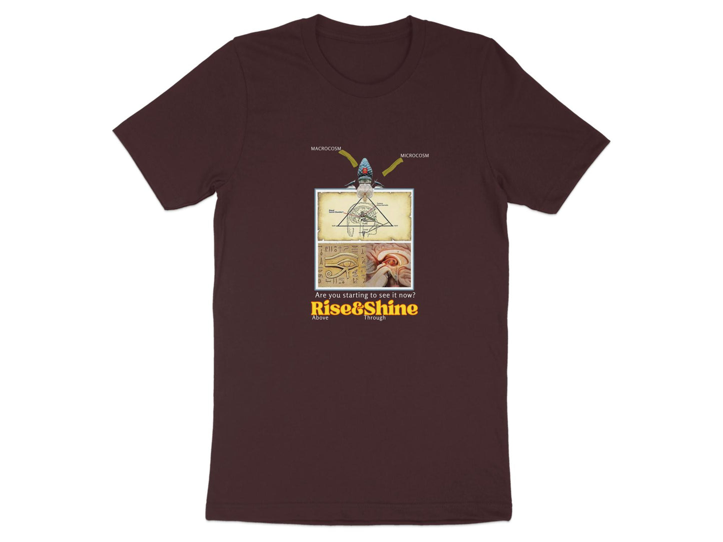 Quality Cotton T-shirt