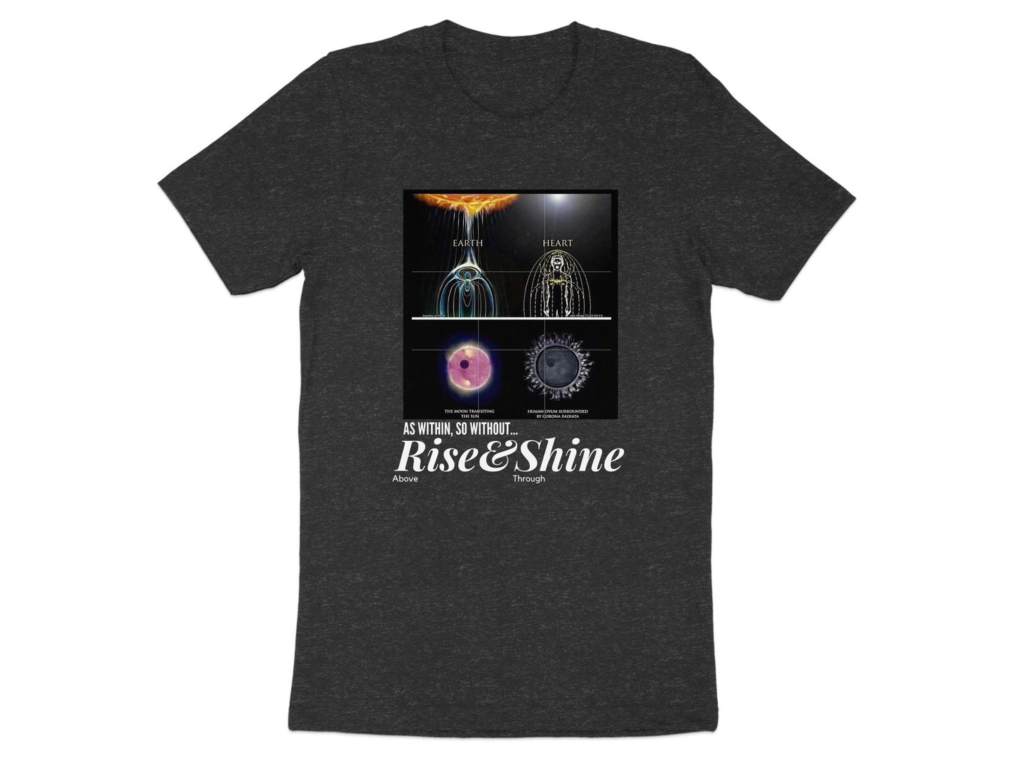 Quality Cotton T-shirt