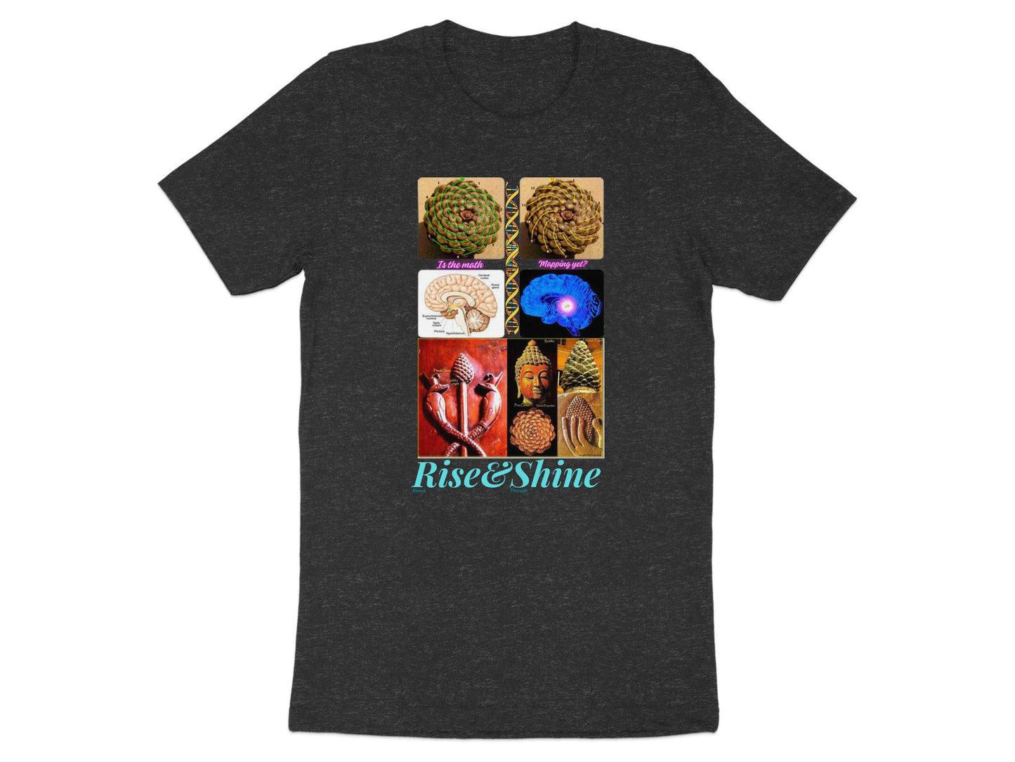 Quality Cotton T-shirt