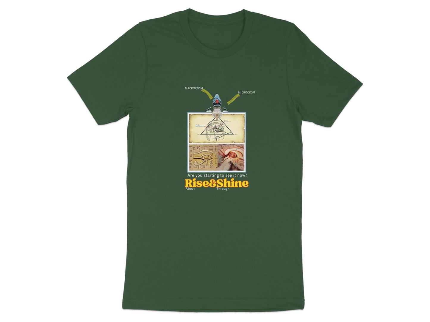Quality Cotton T-shirt