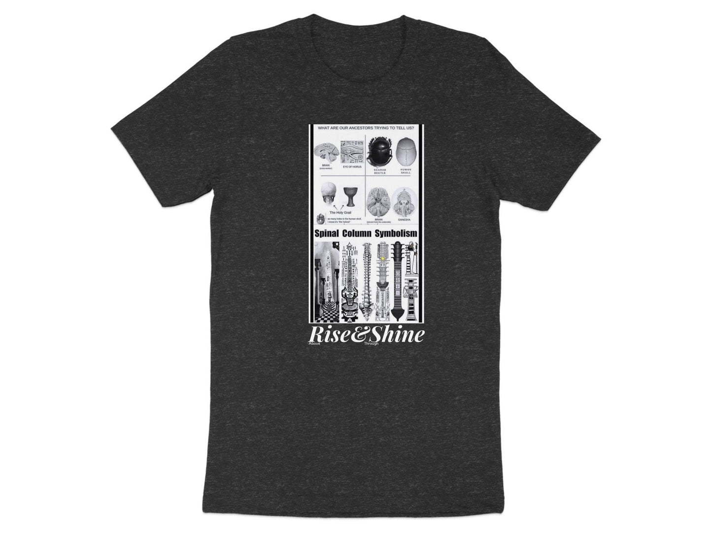 Quality Cotton T-shirt