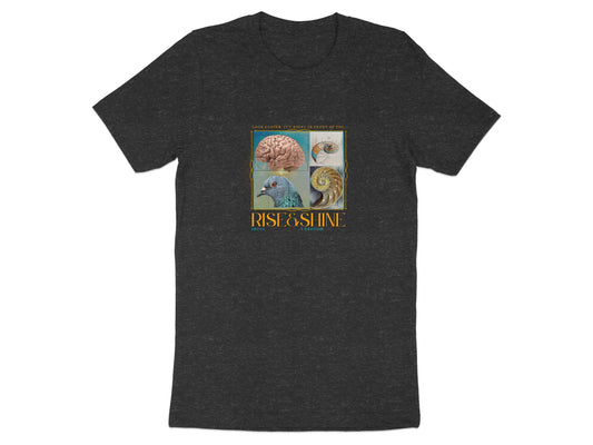 Rise and Shine Brain and Pigeon Graphic T-shirt product